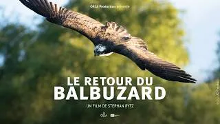 Miniature : Le retour du balbuzard - Documentaire Animalier