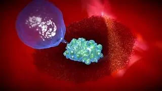 Miniature : Les vaccins 2  : Vaccination et système immunitaire