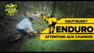 Miniature : MYTHES, LÉGENDES ET ENDURO / C'EST ÇA LE HAUT-BUGEY ! 𓃵
