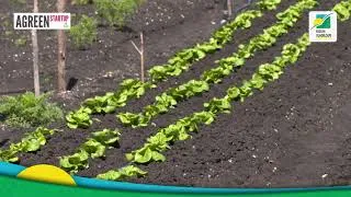 Miniature : AGREEN STARTUP GUADELOUPE : Jean Christophe DRAGIN