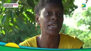 Miniature : AGREEN STARTUP GUADELOUPE : Eleonor DALMAT