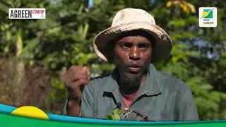 Miniature : AGREEN STARTUP GUADELOUPE : FABRICE EUTROPE