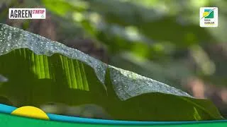 Miniature : AGREEN STARTUP GUADELOUPE :  FRED WAWAWA
