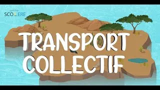 Miniature : Transport collectif