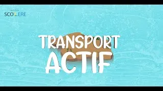 Miniature : Transport actif