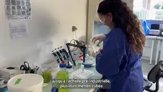 Miniature : La valorisation des déchets biomasses - APESA