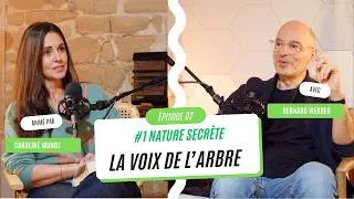Miniature : #2 NATURE SECRÈTE / La voix de l'arbre / Bernard Werber