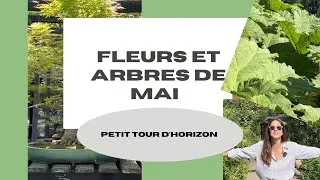 Miniature : Petit tour d'horizon des fleurs et arbres de saison