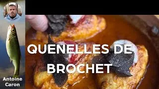Miniature : Découvrez les lançons et équilles : le dessert irrésistible pour les carnassiers !
