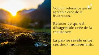 Miniature : LA PAIX N'EST NI DANS L'ATTACHEMENT NI DANS LE REJET.
