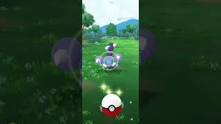 Miniature : Si cette vidéo fait 5k / If this video makes 5k