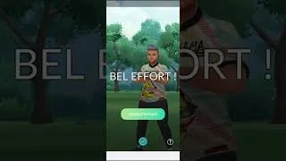 Miniature : Pokemon Go - Je persévère / I persevere