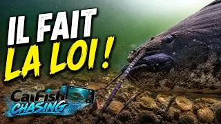 Miniature : JAMAIS VU ÇA SOUS L’EAU… CE SILURE EST IMPRESSIONNANT !