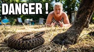 Miniature : On installe enfin le Wi-Fi sur notre terrain ! (Vlog Carpe Diem)