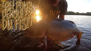Miniature : Pêche de la CARPE : 48H pour DÉROULER du FISH