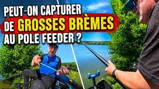 Miniature : 🎥🎞Grosses brèmes au Pole Feeder : mission possible ?🤟💪