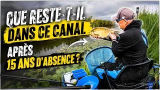 Miniature : 🎥🎞Que reste-t-il dans ce canal après 15 ans d'absence ?🤟💪