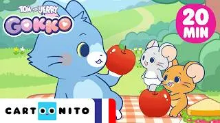 Miniature : 🧺🐭 Pique-nique mouvementé ! | Compilation | Tom & Jerry Gokko | @CartoonitoFrance