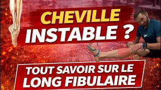 Miniature : Comment renforcer le long fibulaire ? (Muscle clé contre l’entorse et l’instabilité de cheville)