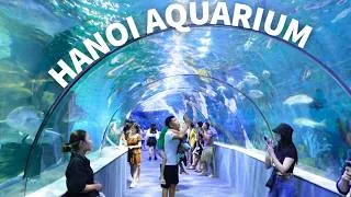 Miniature : Hanoi Aquarium at Times City | Is It Worth Visiting with Family?