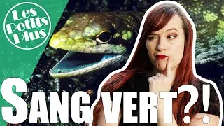 Miniature : Des lézards au sang VERT?! - LPP#4 + quelques news