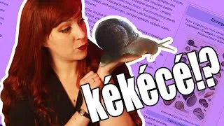 Miniature : Les escargots, c'est pas ch!ant du tout! - Kékécé #3