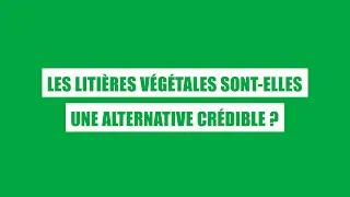 Miniature : Les litières végétales sont-elles une alternative crédible ?