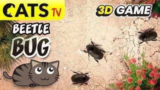 Miniature : 📺 CATS TV 😻 3D beetle bug 🪲 Ultra realistic game for cats 🔊 3D Sound