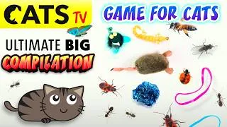 Miniature : CATS TV 📺💛 2026 Ultimate Compilation 🐭🪳 Best games for cats 😻 3D SOUND 🔊 (GAME FOR CATS)