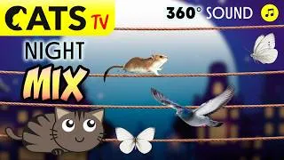 Miniature : 📺 CATS TV 😻 Night Compilation 🌴 Mice 🐁 Birds 🐦 Butterflies 🦋 4K 3D game for cats 🔊