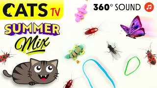 Miniature : CATS TV 📺💛  Summer MIX 🪰☀️🪳 2026 bugs & elastics Compilation 😻 3D SOUND 🔊 (GAME FOR CATS)