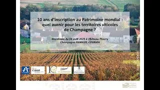 Miniature : 10 ans d'inscription au Patrimoine mondial: quel avenir pour les territoires viticoles de Champagne?