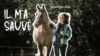 Miniature : LES PREMIÈRES FOIS AVEC MON NOUVEAU CHEVAL