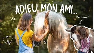 Miniature : J'ai dû lui dire au revoir... 💔🕊