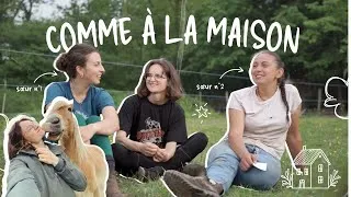 Miniature : LES CHEVAUX À LA MAISON