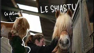 Miniature : LE SHIATSU ÉQUIN - L’incontournable des nouvelles méthodes de soins ?