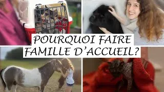 Miniature : 4 RAISONS DE DEVENIR FAMILLE D'ACCUEIL POUR ANIMAUX (CHIENS, CHATS & CO)