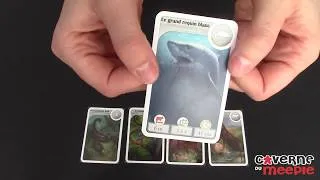 Miniature : Cardline Animals, l'explication (FR)