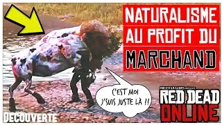 Miniature : 🃏JOHN OPTIMISE SON ÉTAL DE BOUCHER | Red Dead Online | Rentabilité & Braconnage