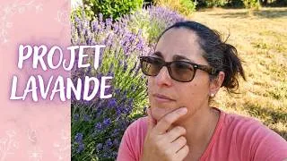 Miniature : Mauvaises Herbes et Potager sous la CANICULE ***