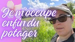 Miniature : Un Potager à Défricher !