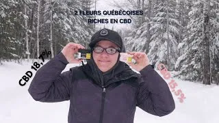 Miniature : Fleurs riches en CBD tests et avis - CBD UMPQUA, CBD RUNTZ (15% CBD) 🌿😍