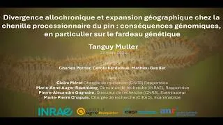 Miniature : Soutenance de thèse de Tanguy Muller