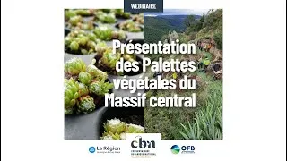 Miniature : Présentation des palettes Végétal local Massif central