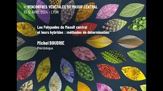 Miniature : 07 Les Polypodes du Massif central et leurs hybrides - Rencontres végétales du Massif central 2024