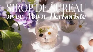 Miniature : Cueillette de fleurs de sureau et recette du sirop de sureau avec Maya, paysanne herboriste. Ep 04