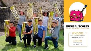 Miniature : MUSICAL'ÉCOLES • École de Musique de l'Ernée 2026 🔴🔵🟡