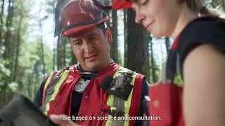 Miniature : Canada’s Sustainable Forest Practices