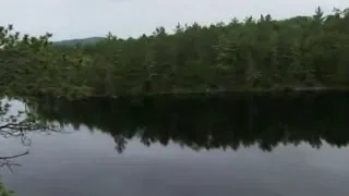 Miniature : Bosbeheer in Canada: Beschermde gebieden met Yolanda Wiersma