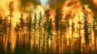 Miniature : Bosbeheer in Canada: Natuurlijke verstoringen met Bill Grant Thornton & Rod DeBoice
